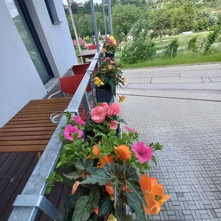 Pension Salma Cesky Krumlov Exterior foto