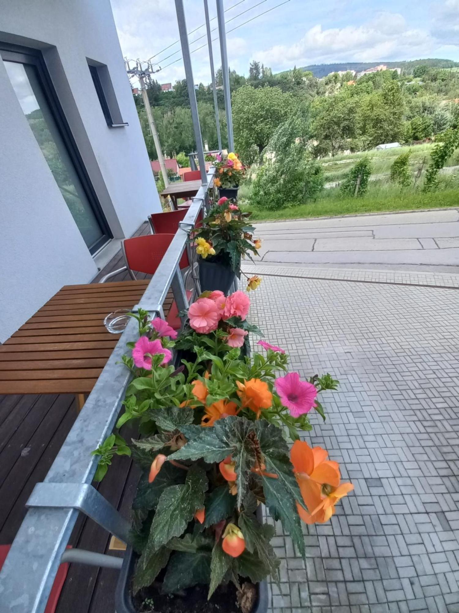 Pension Salma Cesky Krumlov Exterior foto