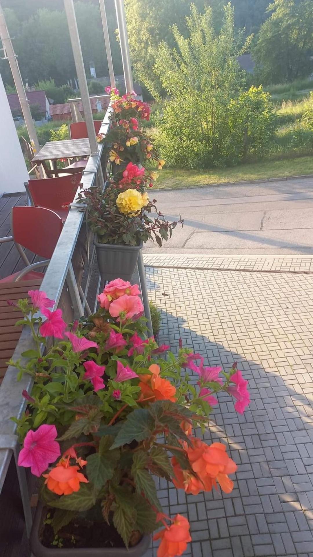 Pension Salma Cesky Krumlov Exterior foto